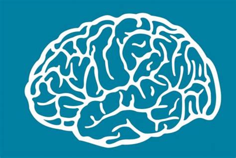 The brain's RAM: Rats, like humans, have a 'working memory'.